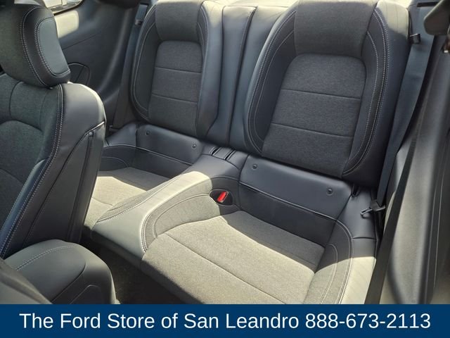 2025 Ford Mustang GT Fastback - Photo 14