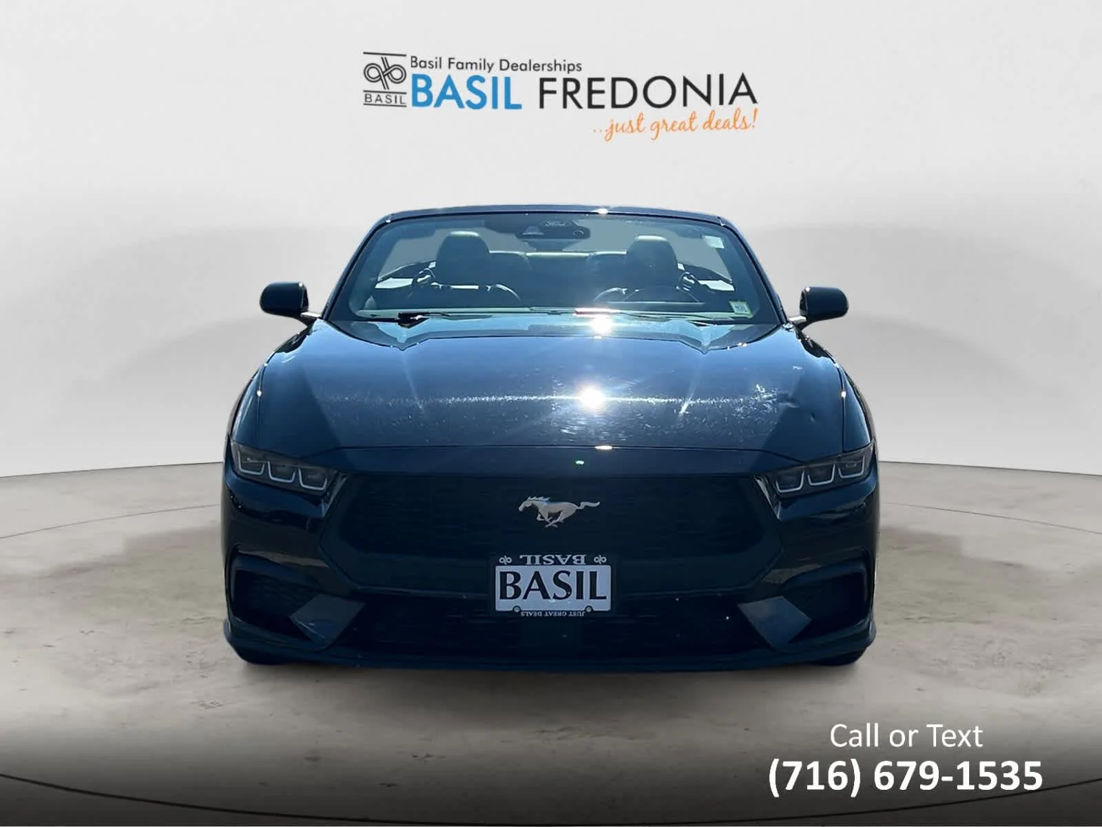 Used 2024 Shadow Black Ford EcoBoost Premium image 12