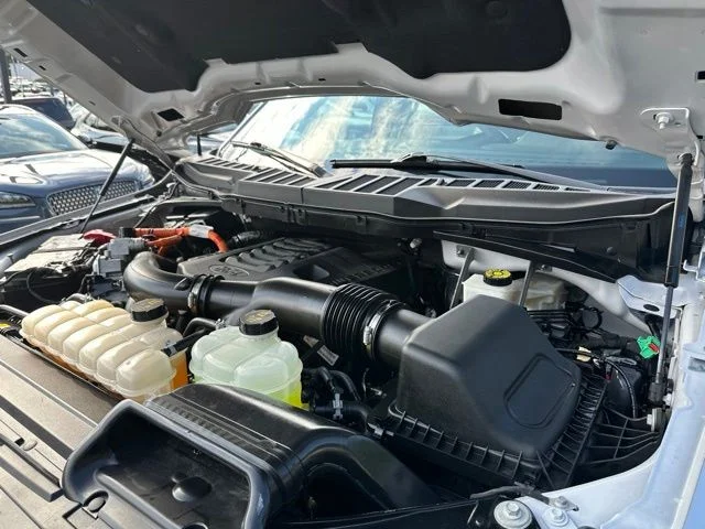 Photo 41