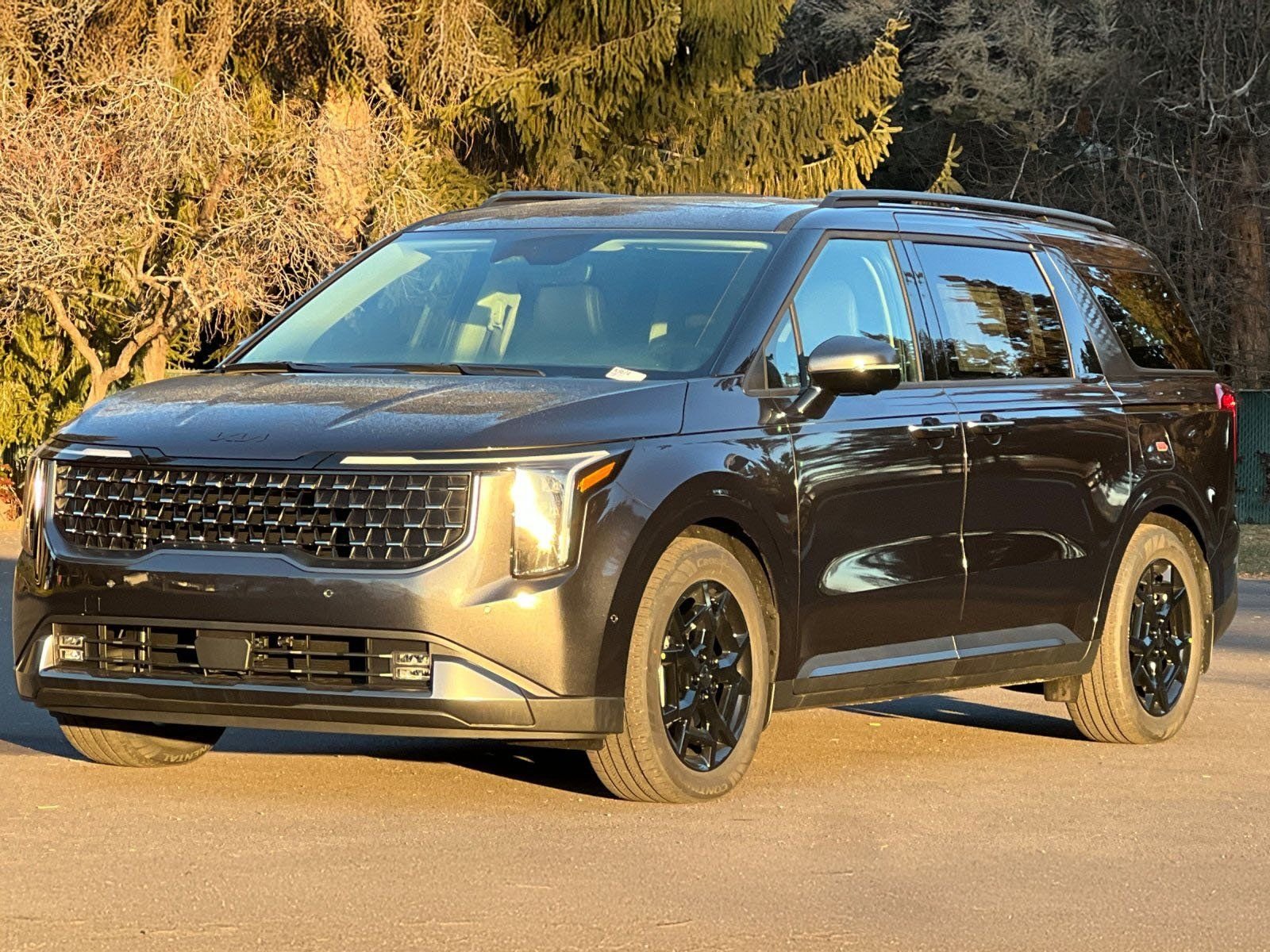 2025 Kia Carnival SX - Photo 8