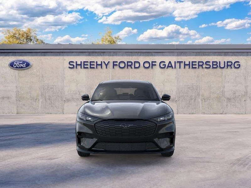 New 2025 Shadow Black Ford Premium image 6