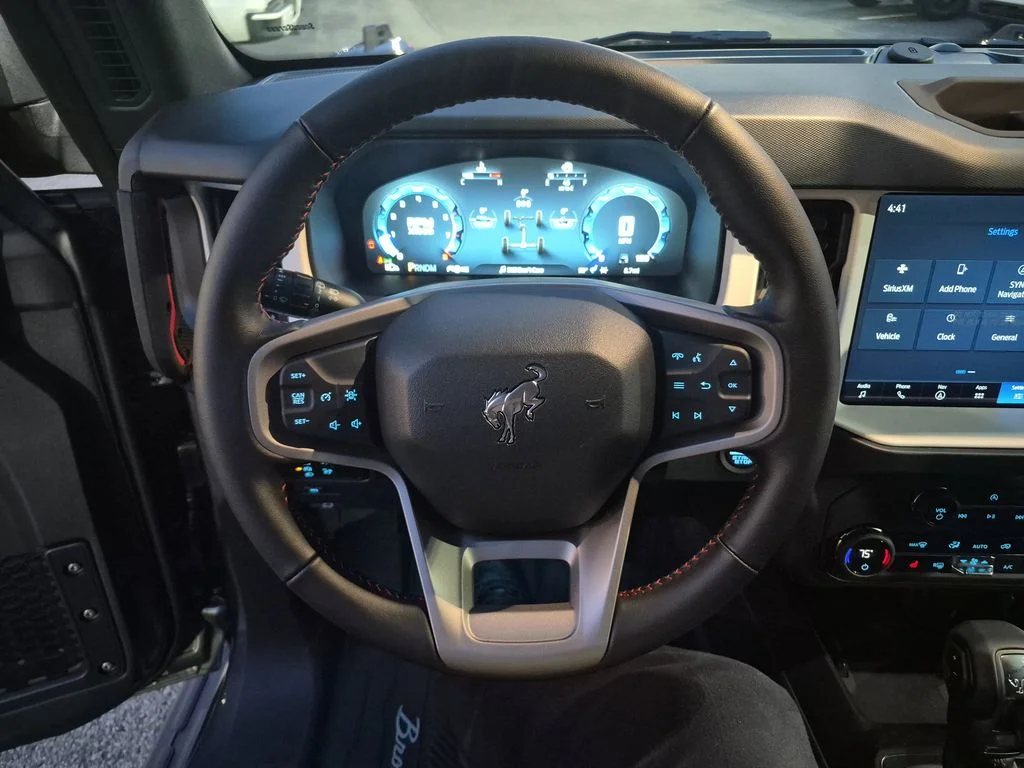 New 2025 Gray Ford Heritage Edition image 26