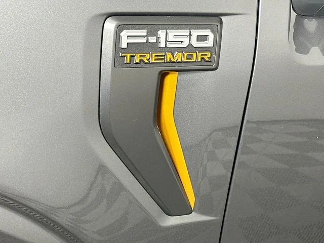 New 2026 Gray Ford Tremor image 27