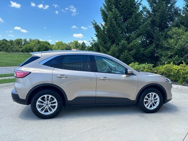 Used 2021 Gold Ford SE image 5