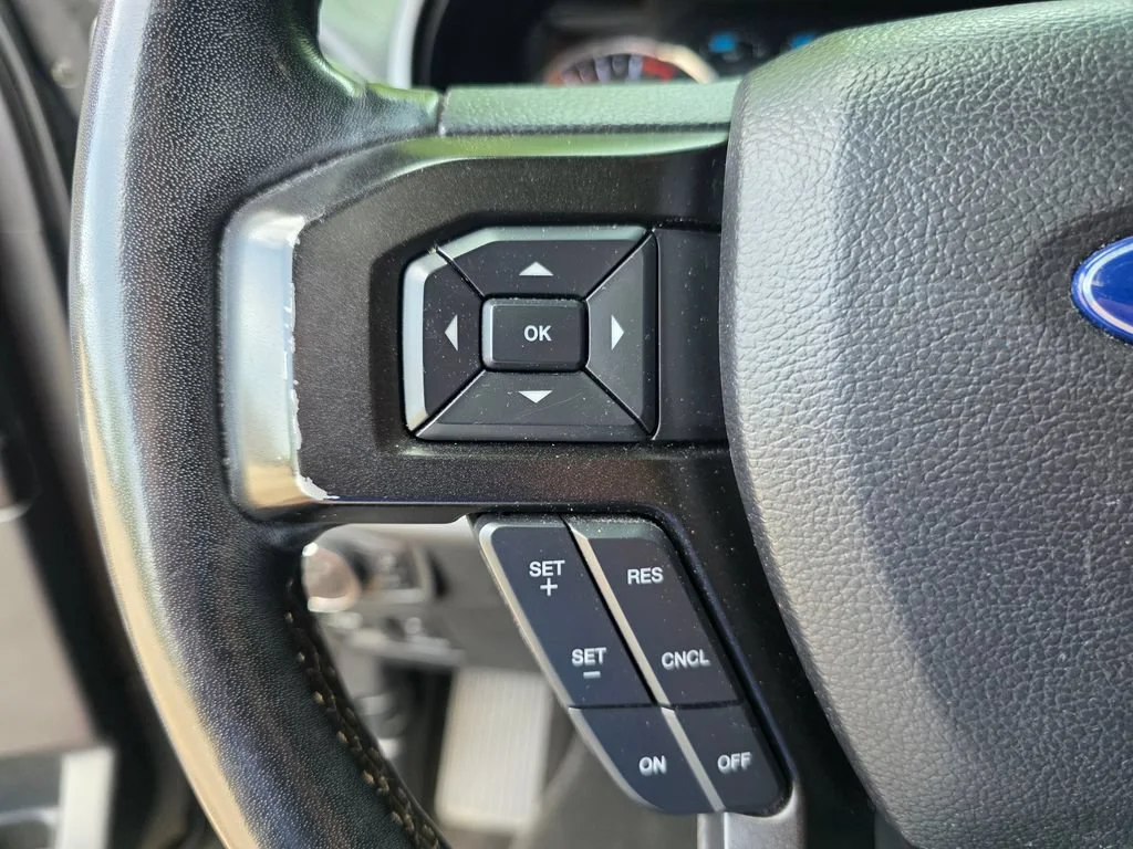 Used 2019 Black Ford Limited image 25