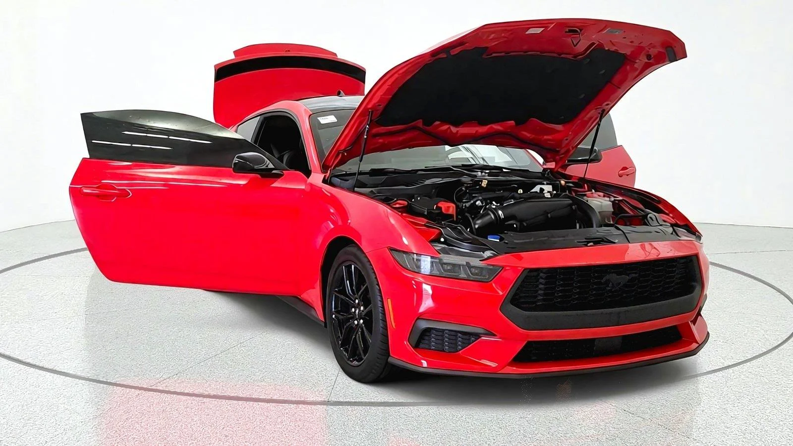 Used 2025 Race Red Ford EcoBoost image 12
