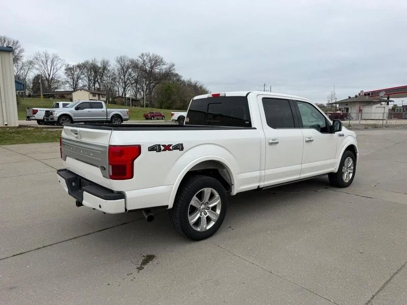 Used 2019 White Ford Platinum image 3