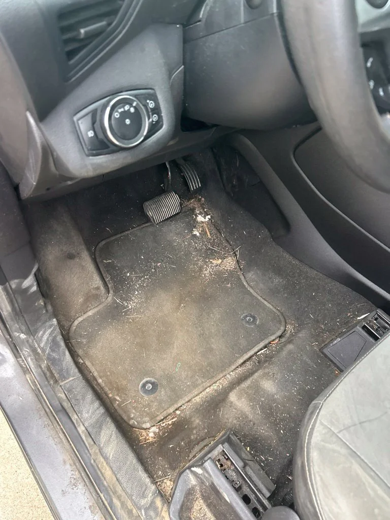Used 2013  Ford SE image 3