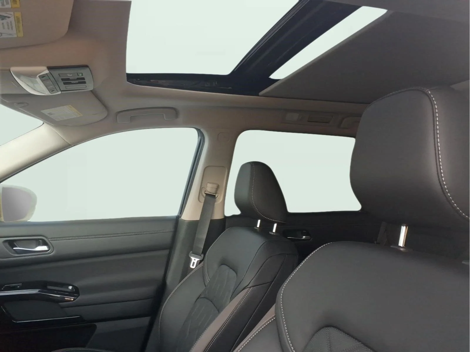 New 2026 Everest White Pearl TriCoat Nissan Platinum image 13