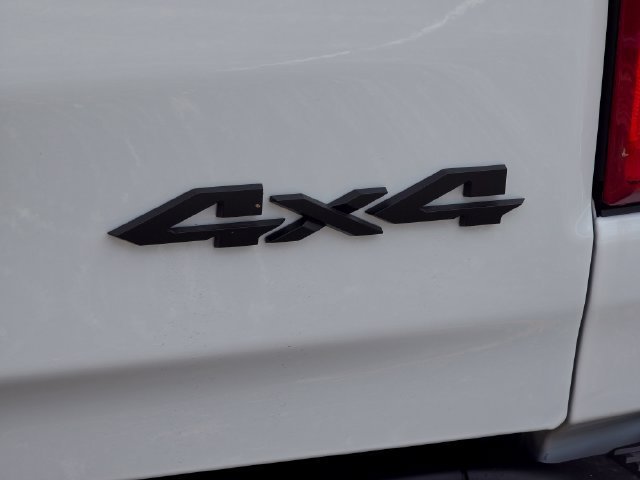 New 2026 Bright White Clear-Coat Exterior Paint RAM RHO image 28