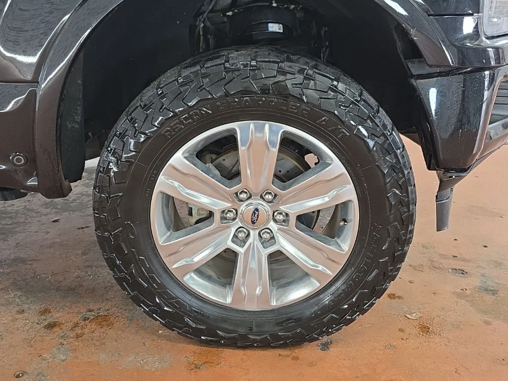 Used 2020 Black Ford Platinum image 9