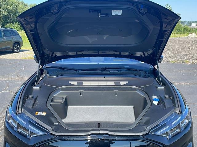 New 2026 Shadow Black Ford Premium image 64