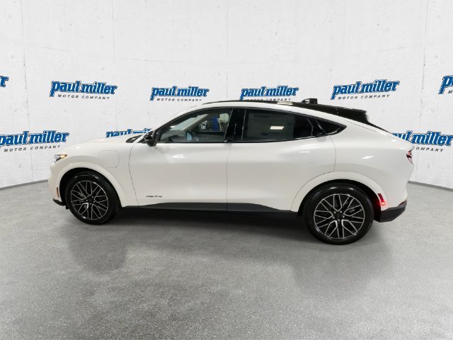 New 2026 White Ford Premium image 7