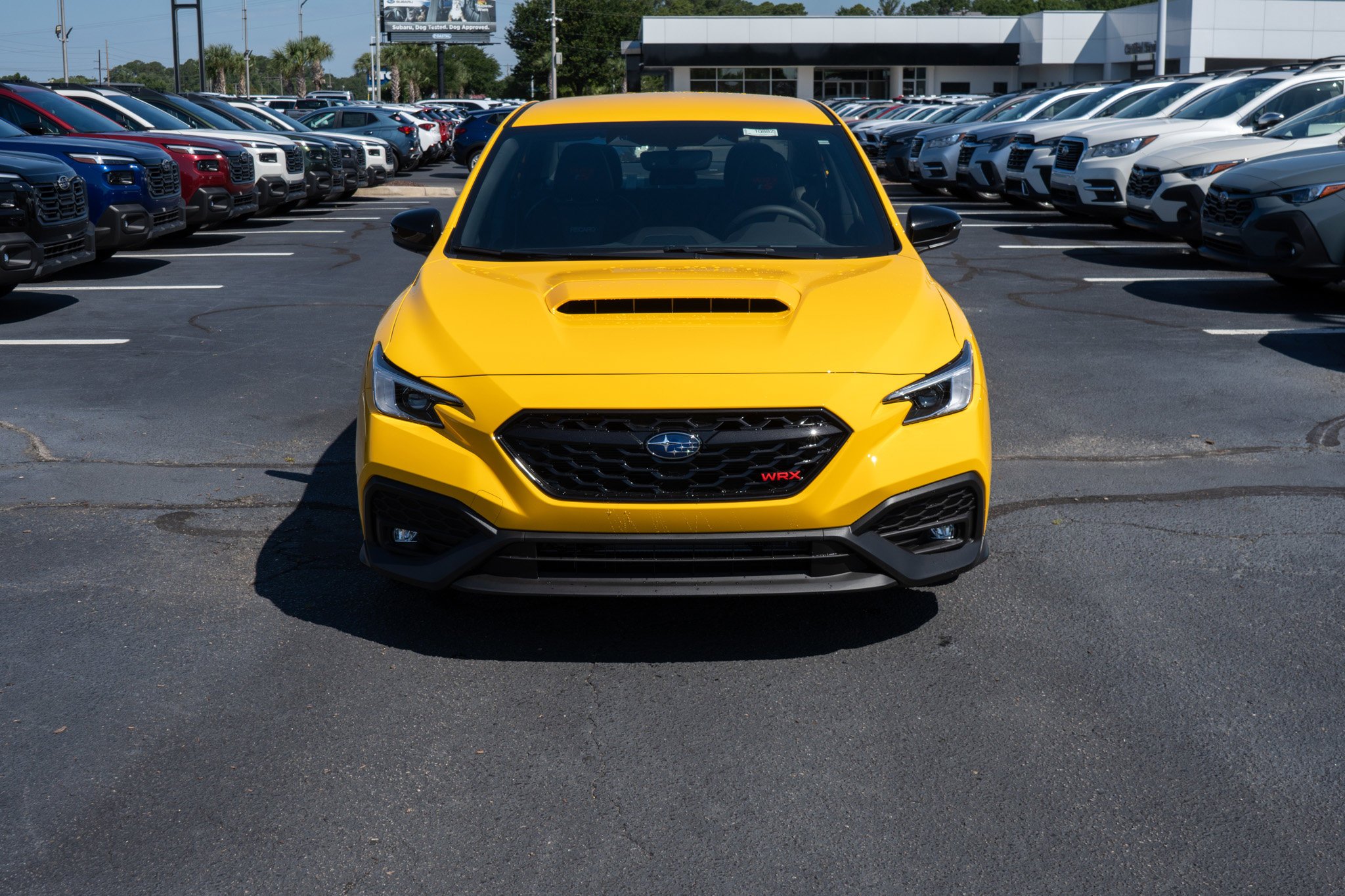 New 2026 SUNRISE YELLOW Subaru Series.Yellow image 8