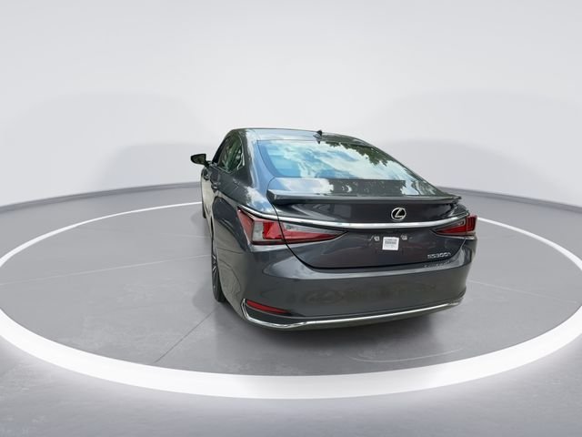 2025 Lexus ES Hybrid 300h - Photo 6