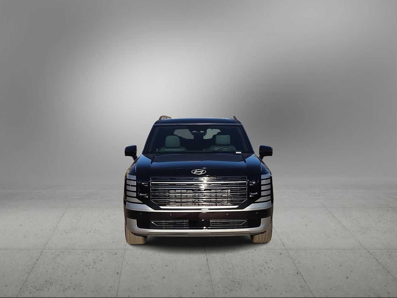 2026 Hyundai Palisade Calligraphy - Photo 3