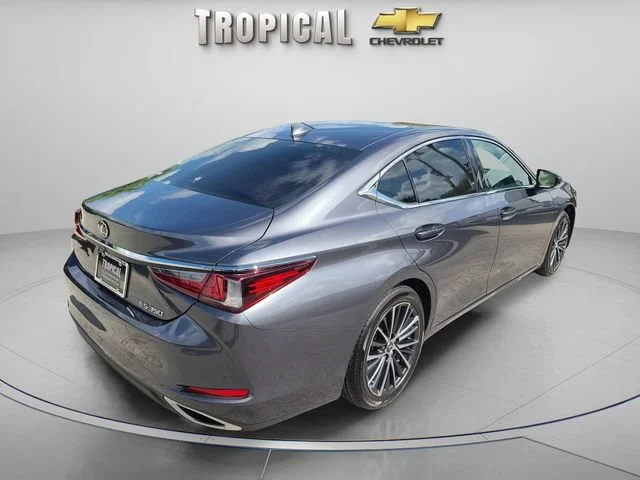 Used 2022 Gray Lexus ES 350 image 5