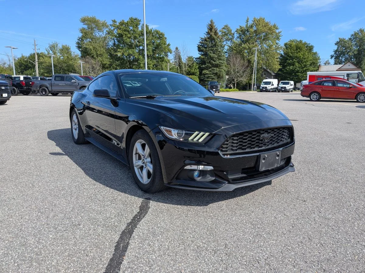Used 2015 Black Ford 2dr Fastback image 3