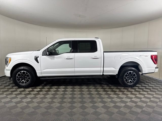 Used 2023 White Ford XLT image 7