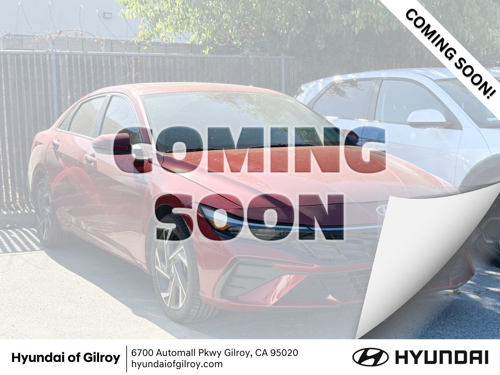 2024 Hyundai Elantra 1.6 HEV Limited DCT's photo