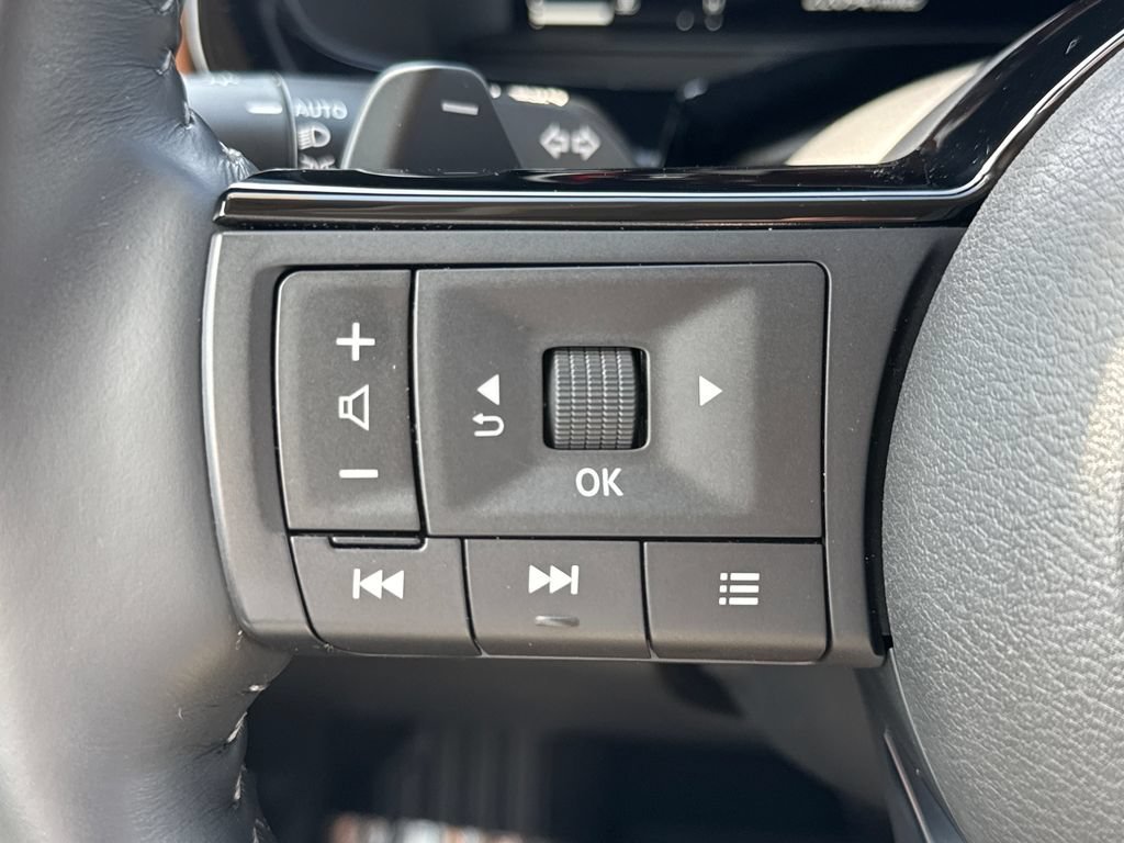 2025 Nissan Pathfinder Platinum - Photo 22