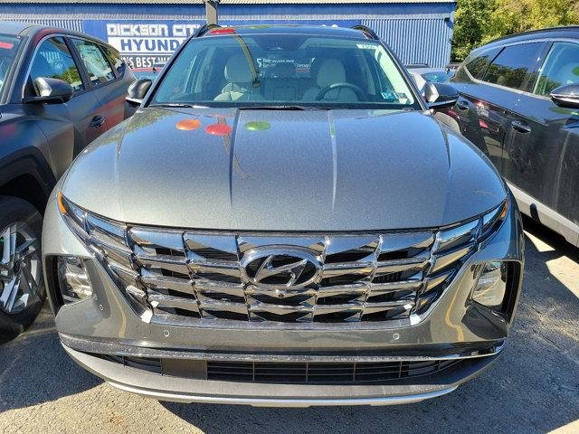 New 2024 Amazon Gray Hyundai Limited image 2