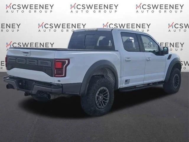 Used 2019 White Ford Raptor image 5