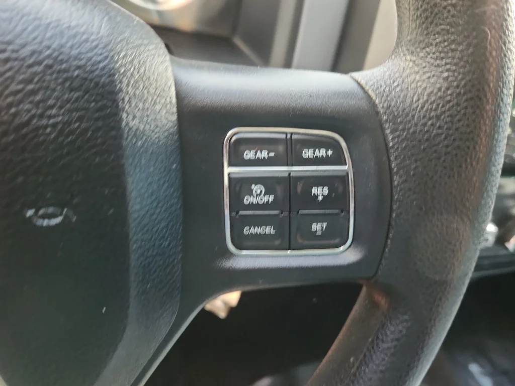Used 2017 Black Ram Express image 24