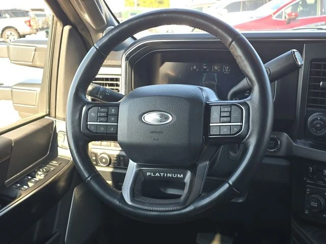 Used 2024 Gray Ford Platinum image 41
