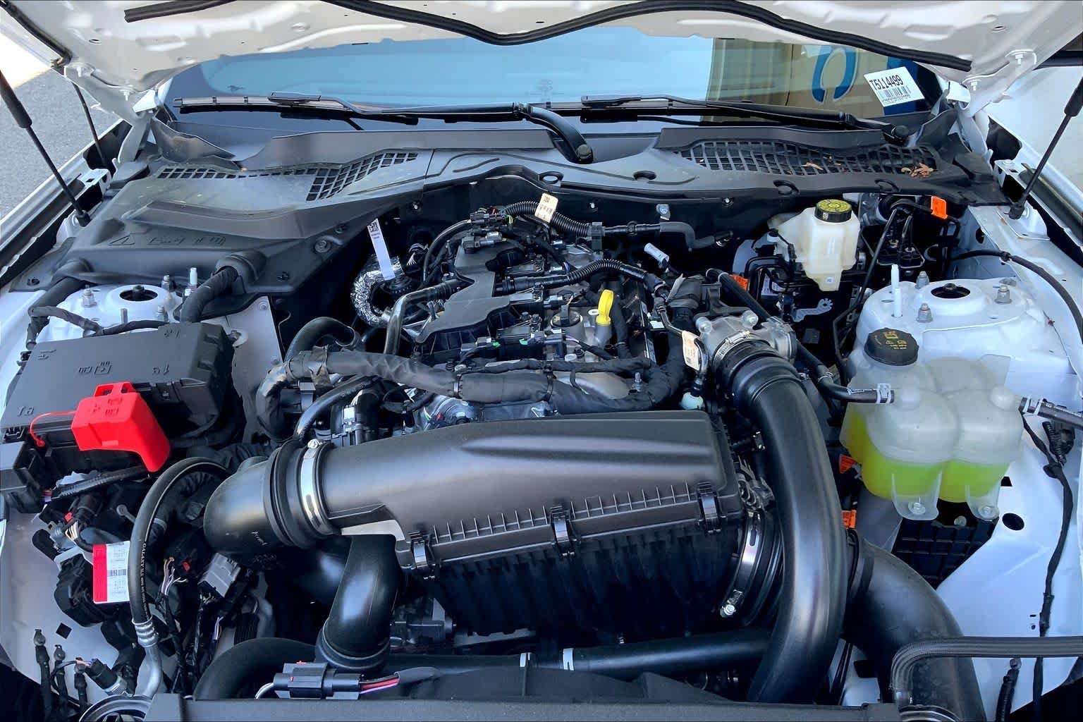 New 2026 Oxford White Ford EcoBoost® Fastback image 14