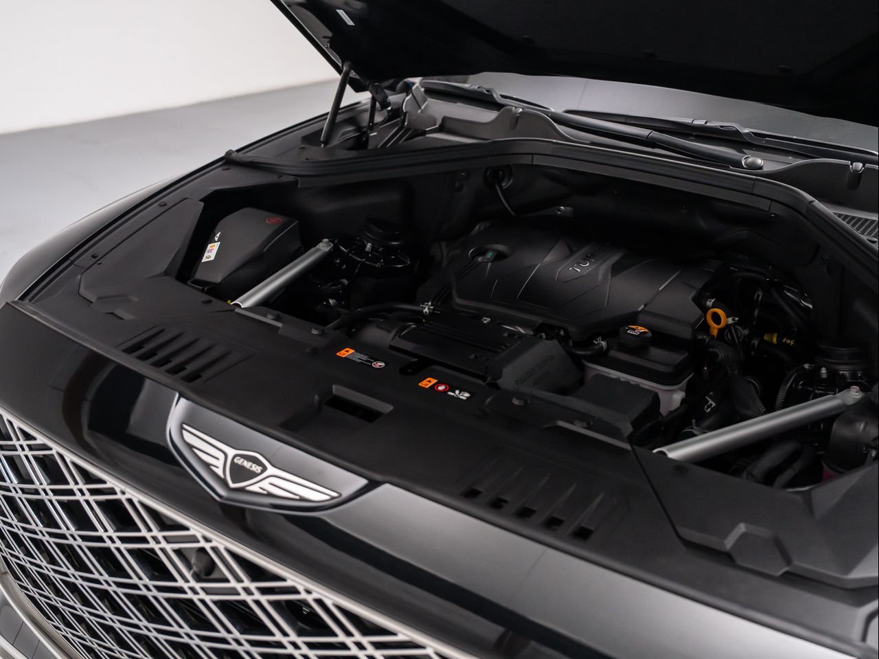 New 2026 Vik Black Genesis 2.5T PRESTIGE image 11