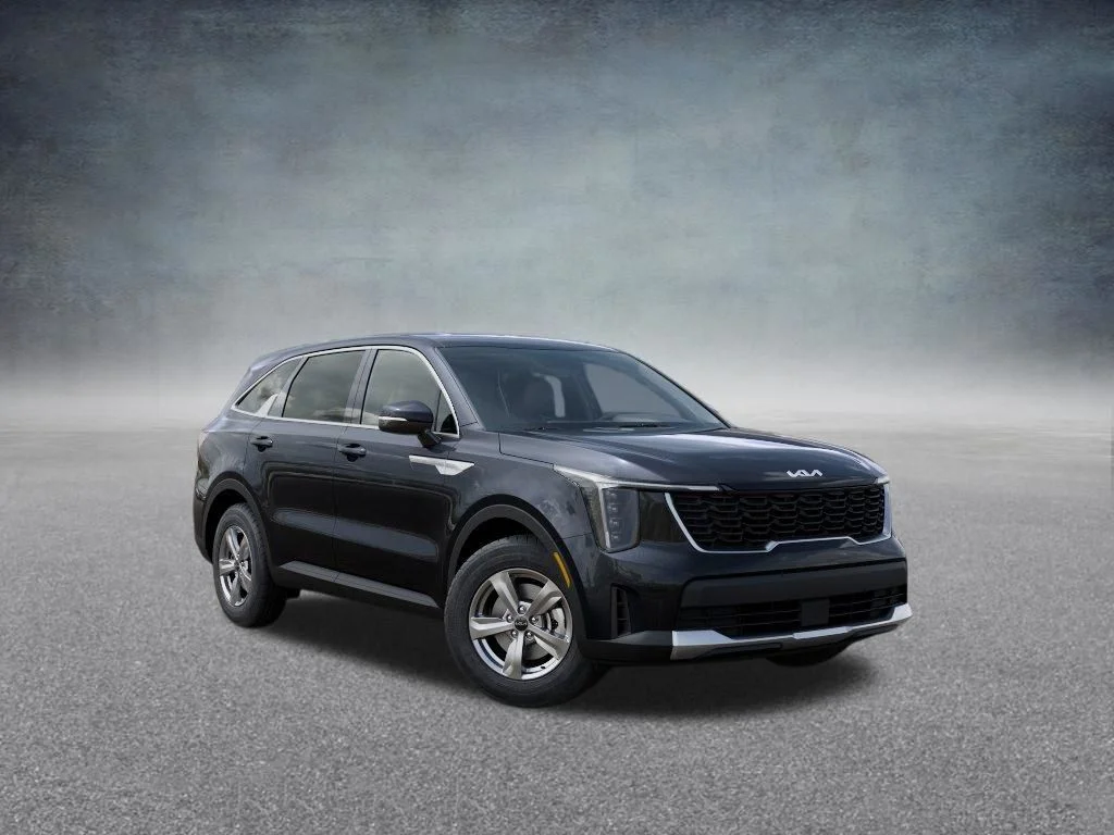 New 2026 Panthera Metal Kia LX image 8