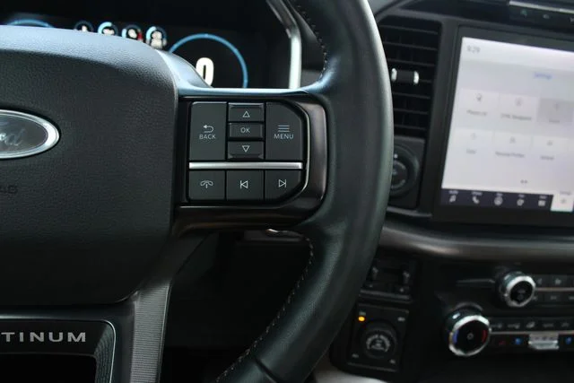 Used 2023 Silver Ford Platinum image 14