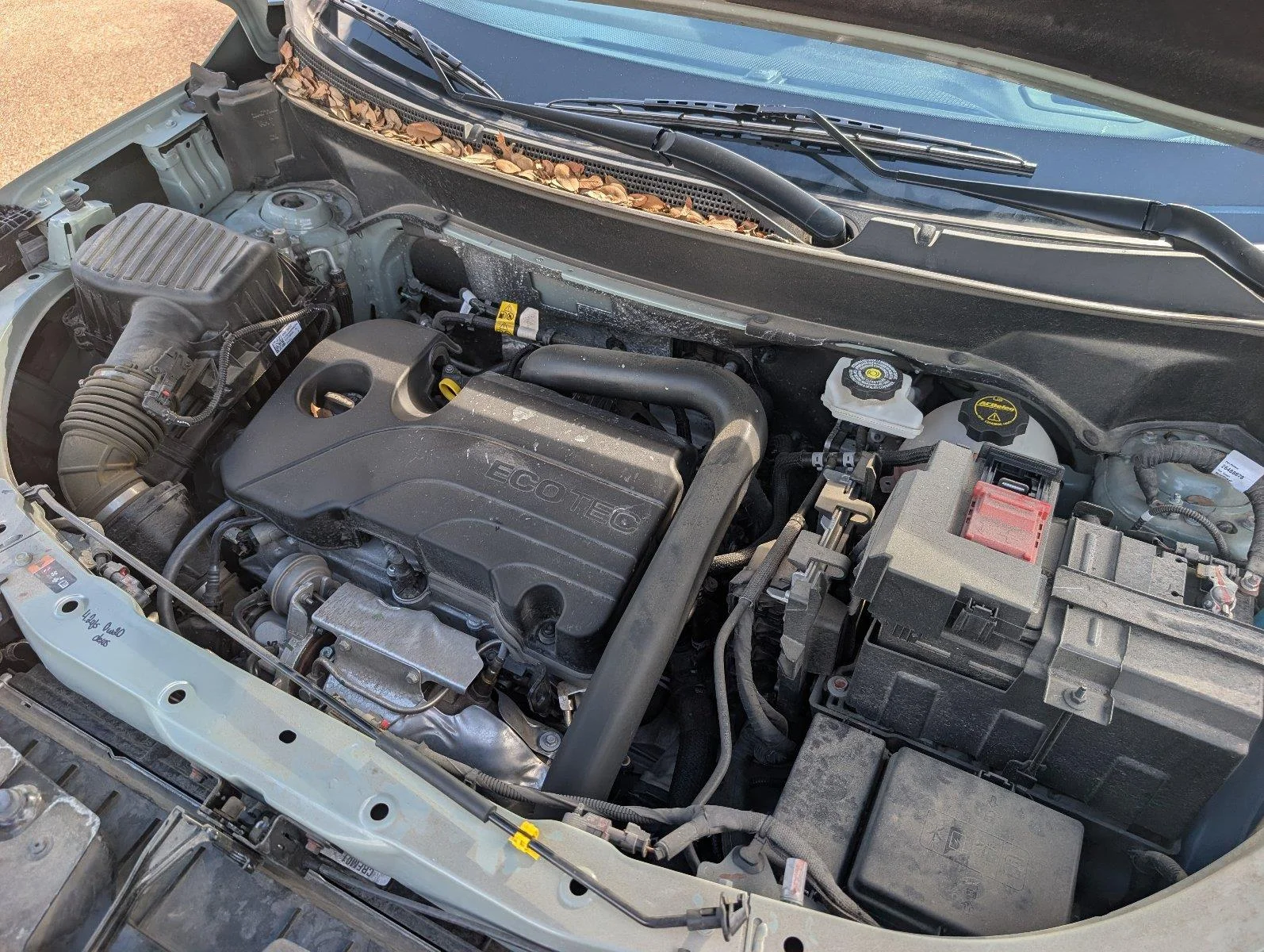 Used 2025 Cacti Green Chevrolet LT image 37