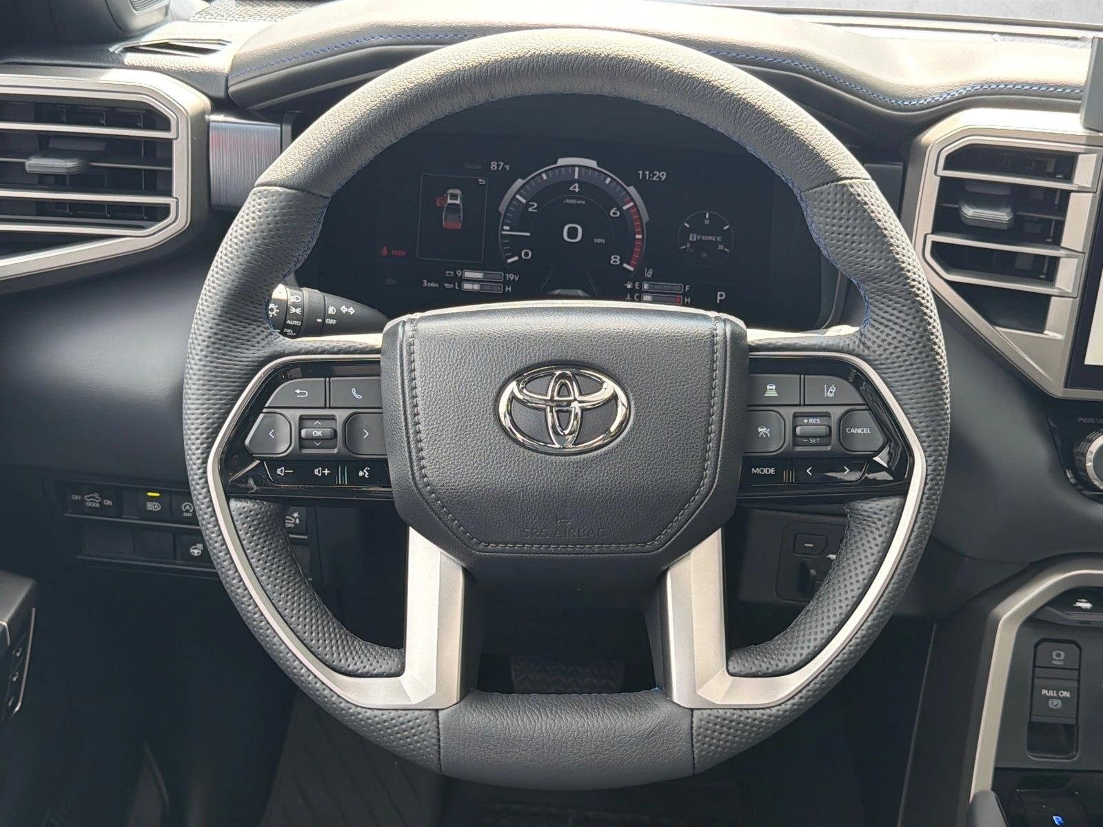 New 2026 Magnetic Gray Metallic Toyota Platinum image 23