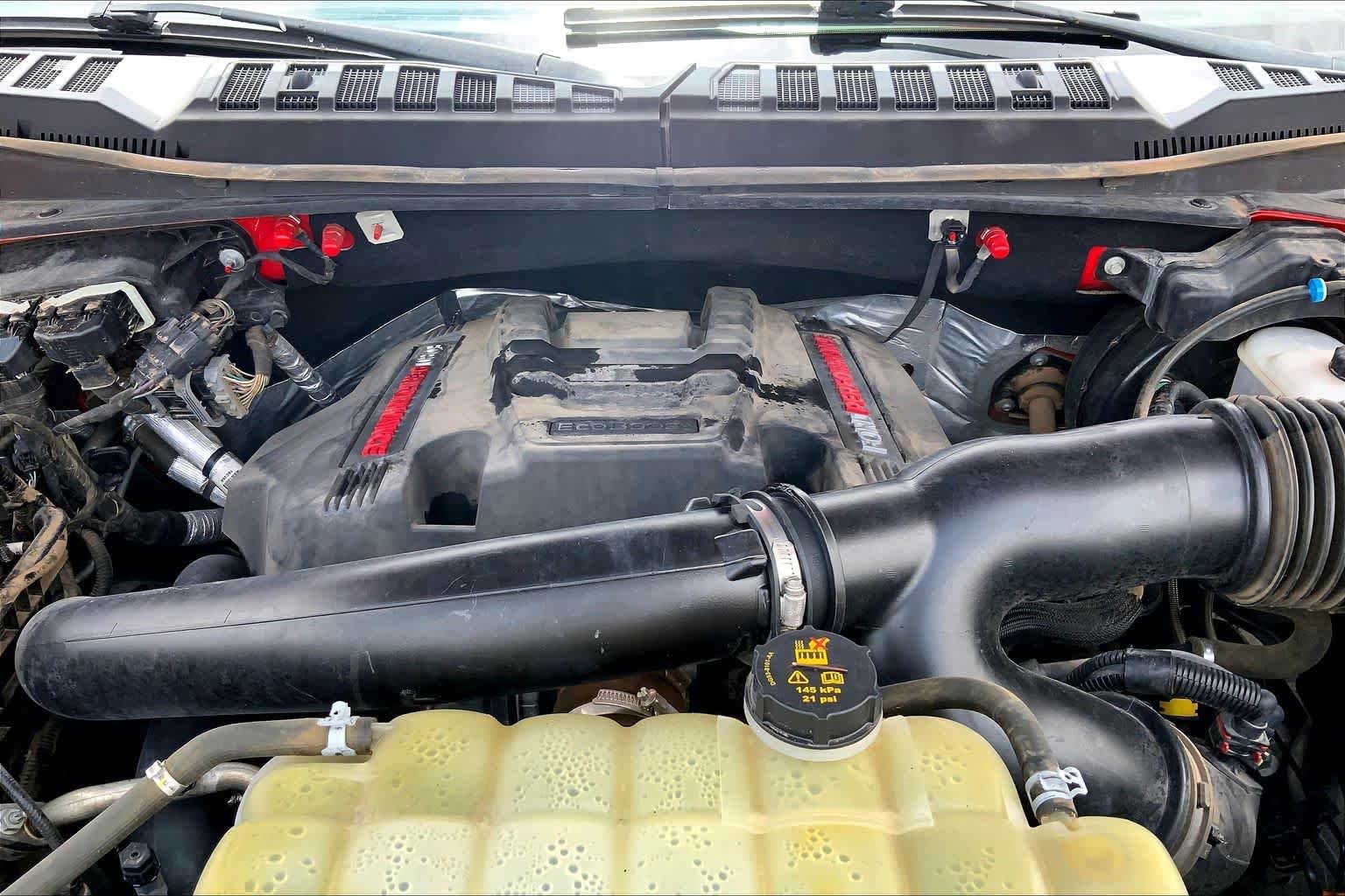 Used 2019 Race Red Ford Raptor image 32