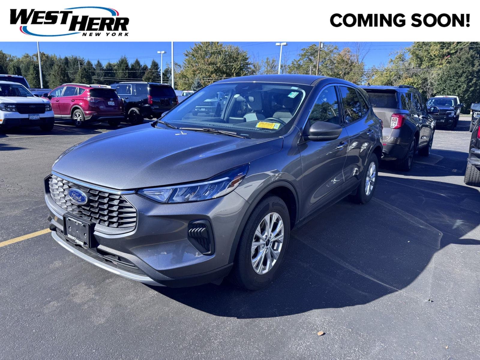 Used 2023 Carbonized Gray Ford Active image 1