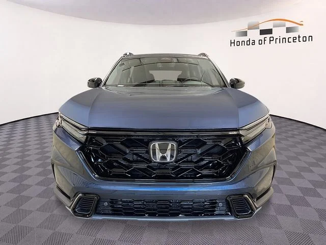 New 2026 Blue Honda Sport-L image 8