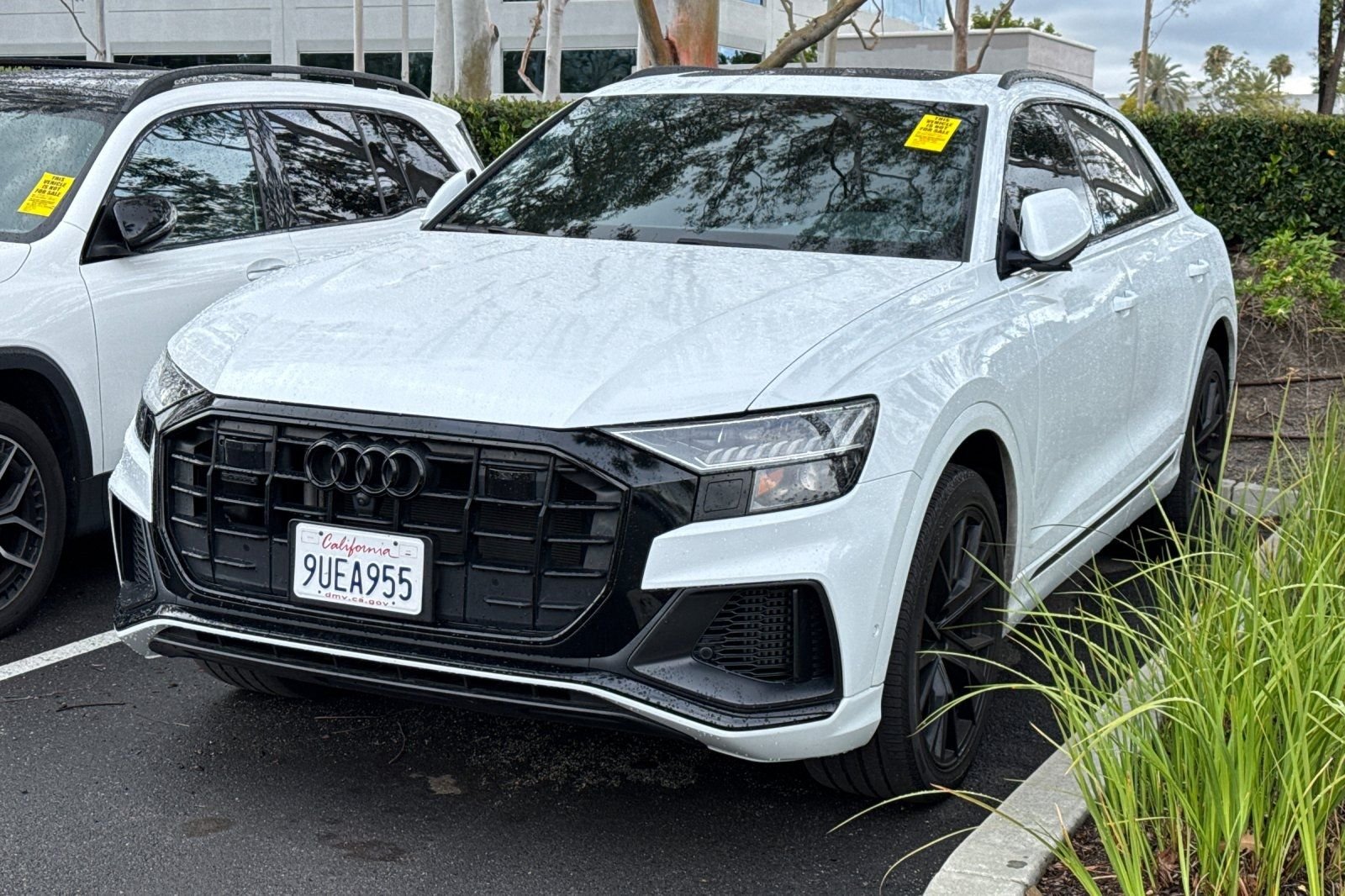 2023 Audi Q8 55 Premium Plus Tiptonic quattro's photo