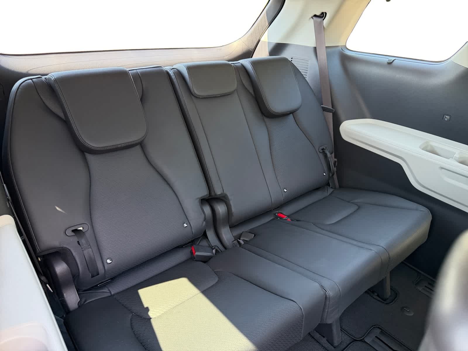 Used 2024 Panthera Metal Kia SX Prestige image 19