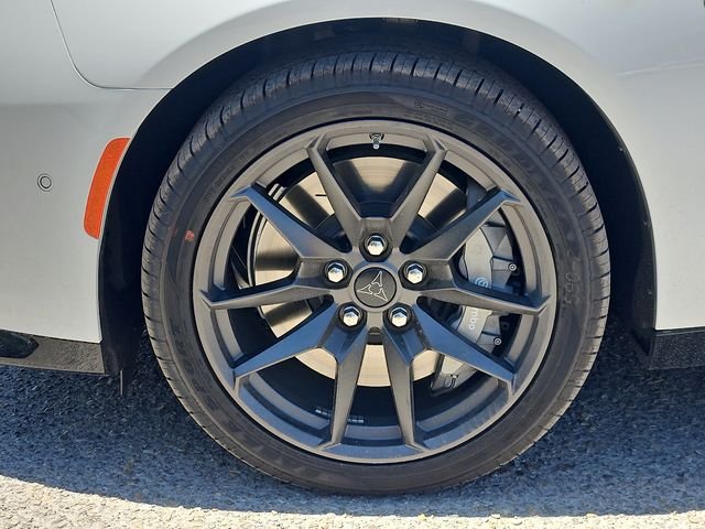 New 2026 White Knuckle Exterior Paint Dodge Scat Pack image 9