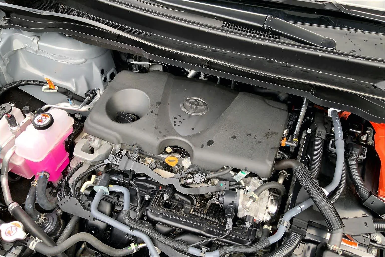 Used 2025 Cement Toyota XSE image 31