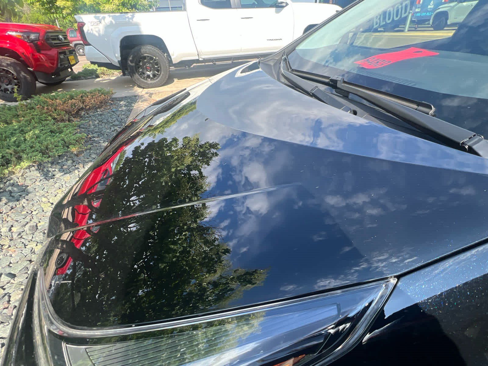 Used 2022 Midnight Black Metallic Toyota Nightshade image 8
