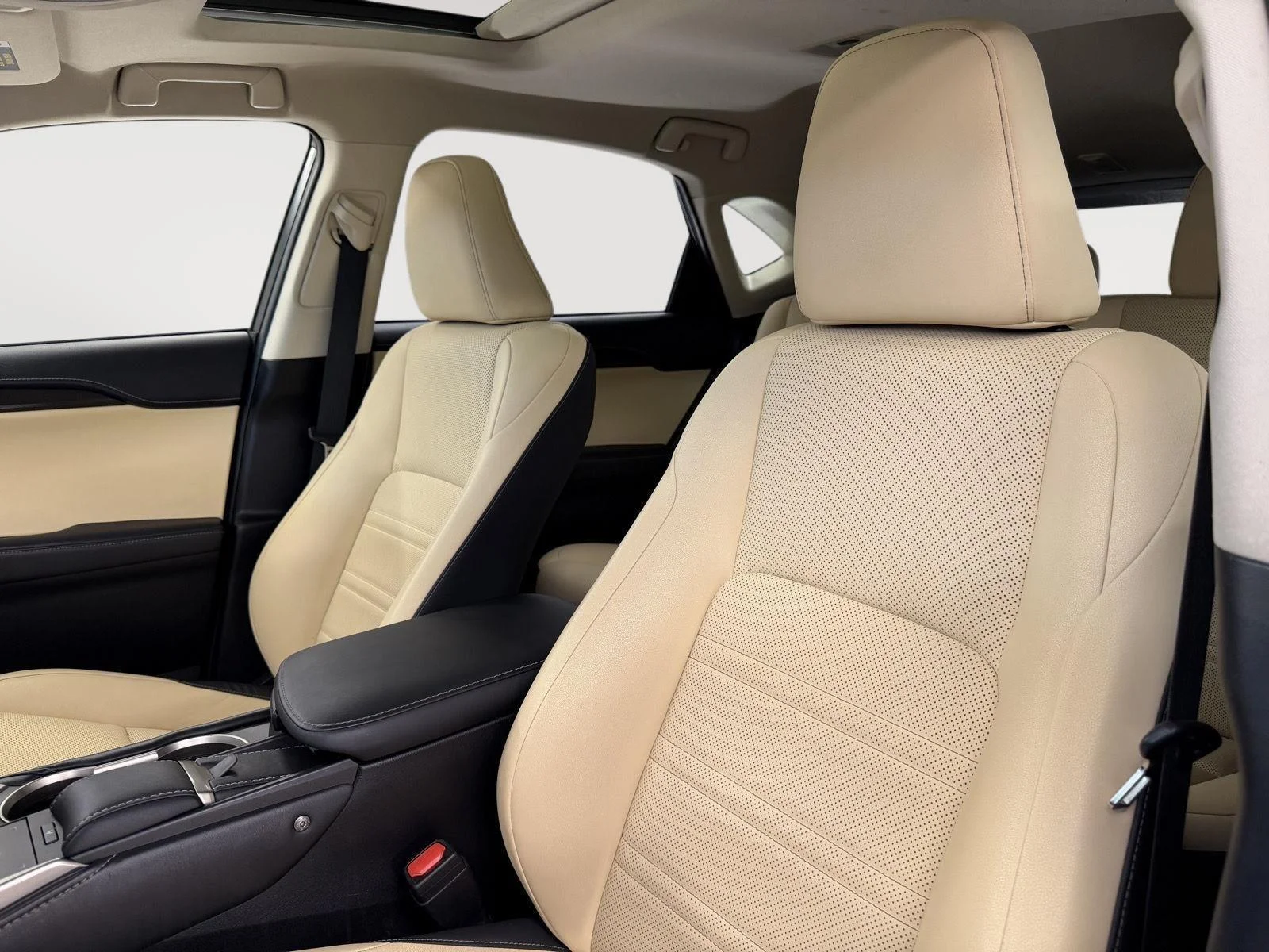 Used 2019  Lexus 300 image 3