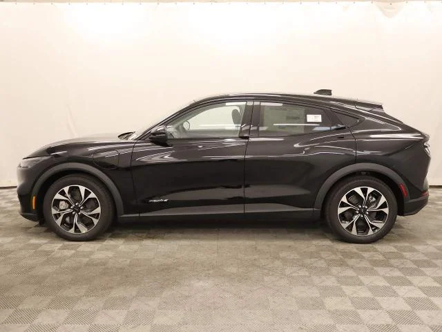New 2026 Shadow Black Ford Select image 4