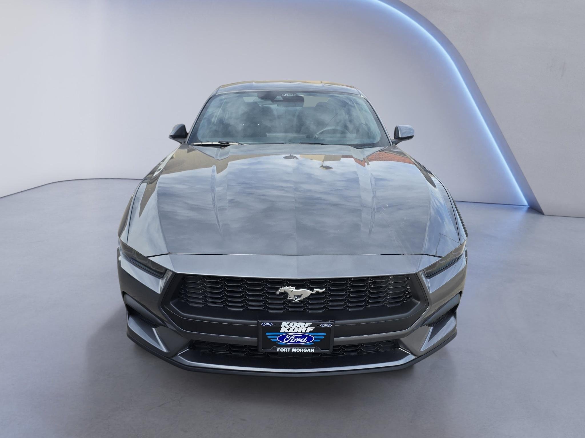New 2026 Carbonized Gray Metallic Ford EcoBoost® Fastback image 2
