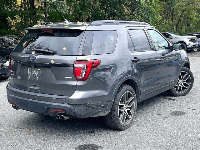 Used 2019 Gray Ford Sport image 4