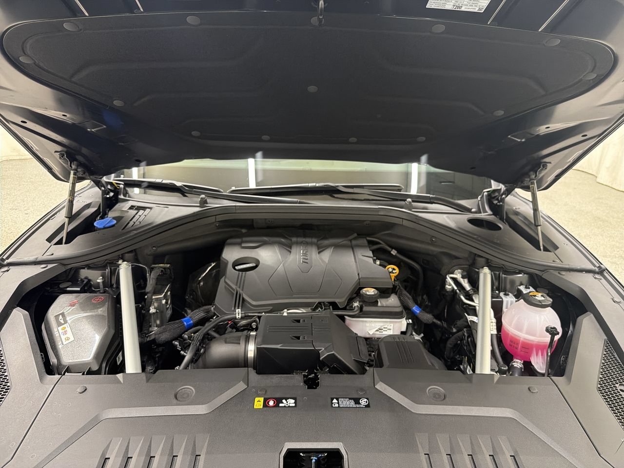 New 2026 Vik Black Genesis 2.5T SELECT image 11