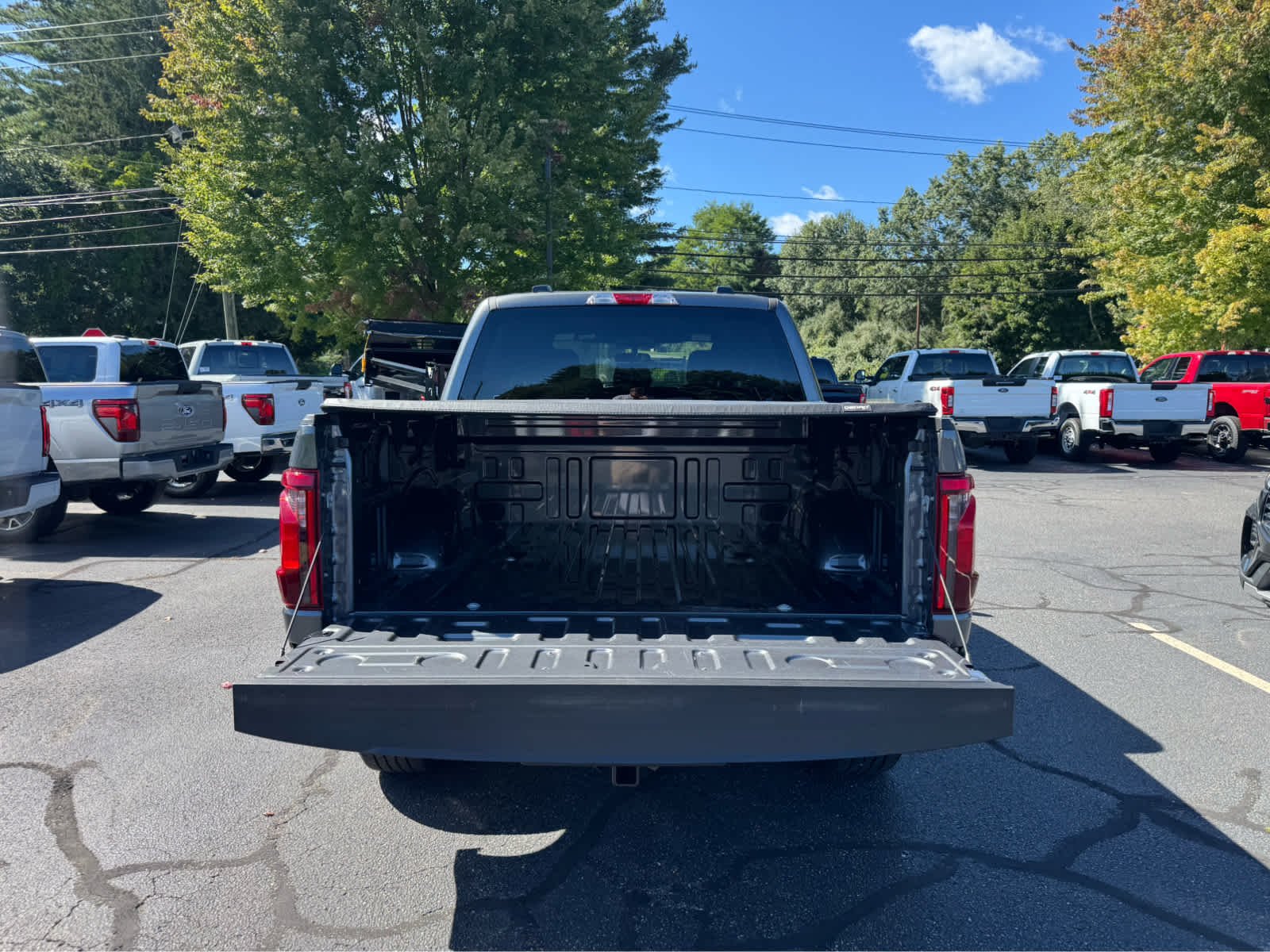 Used 2025 Carbonized Gray Ford STX image 5
