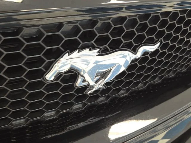 Used 2022 Black Ford GT image 16